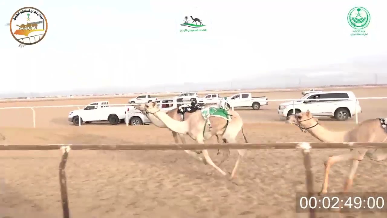 ٦/ قعدان حقايق / ٣٠٠٠ م / شاهين / فهيد حسين الصقور