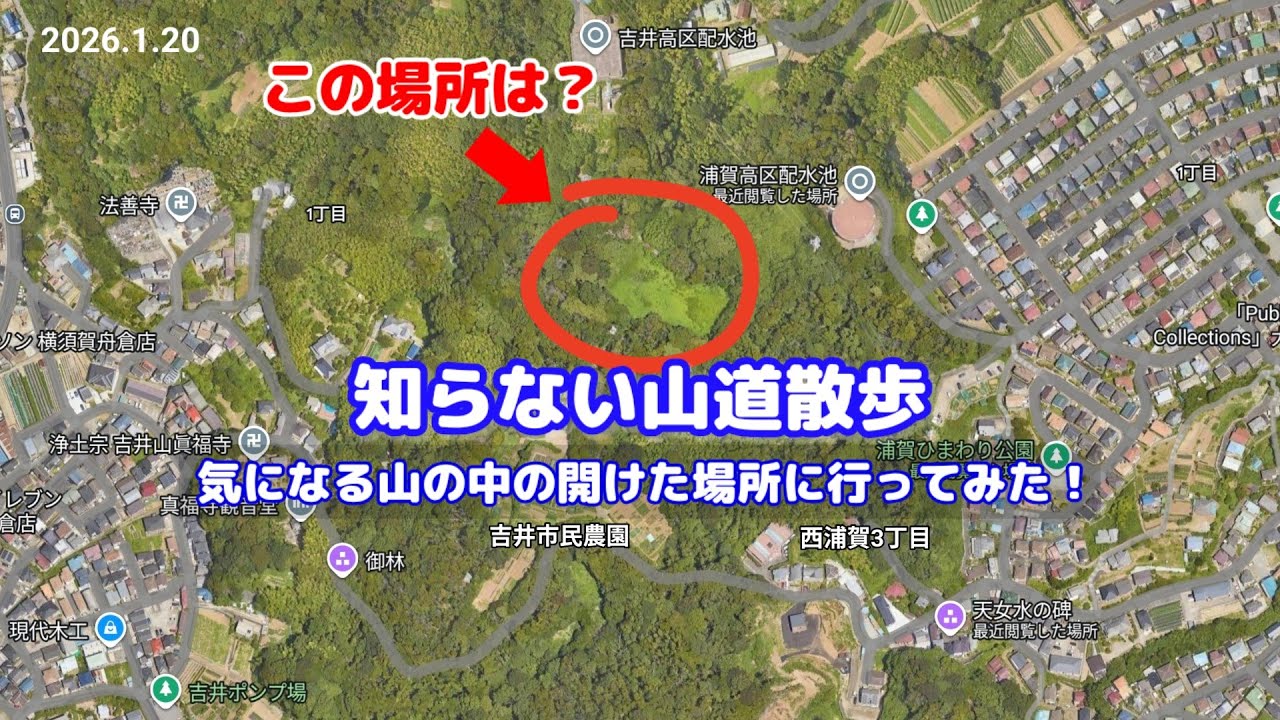 知らない山道散歩｜気になる山の中の、ひらけた場所に行ってみた！（横須賀市西浦賀3丁目付近）