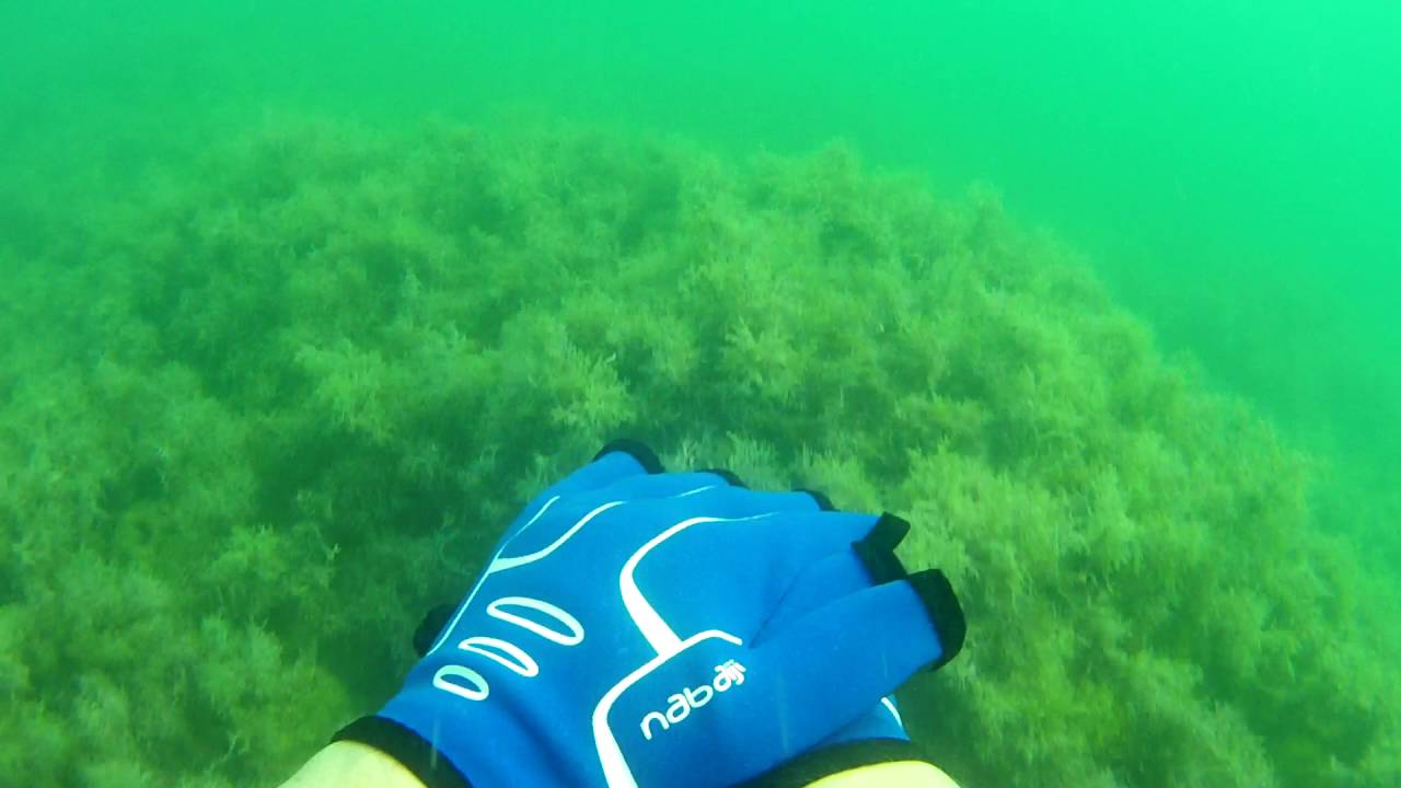 VID00002