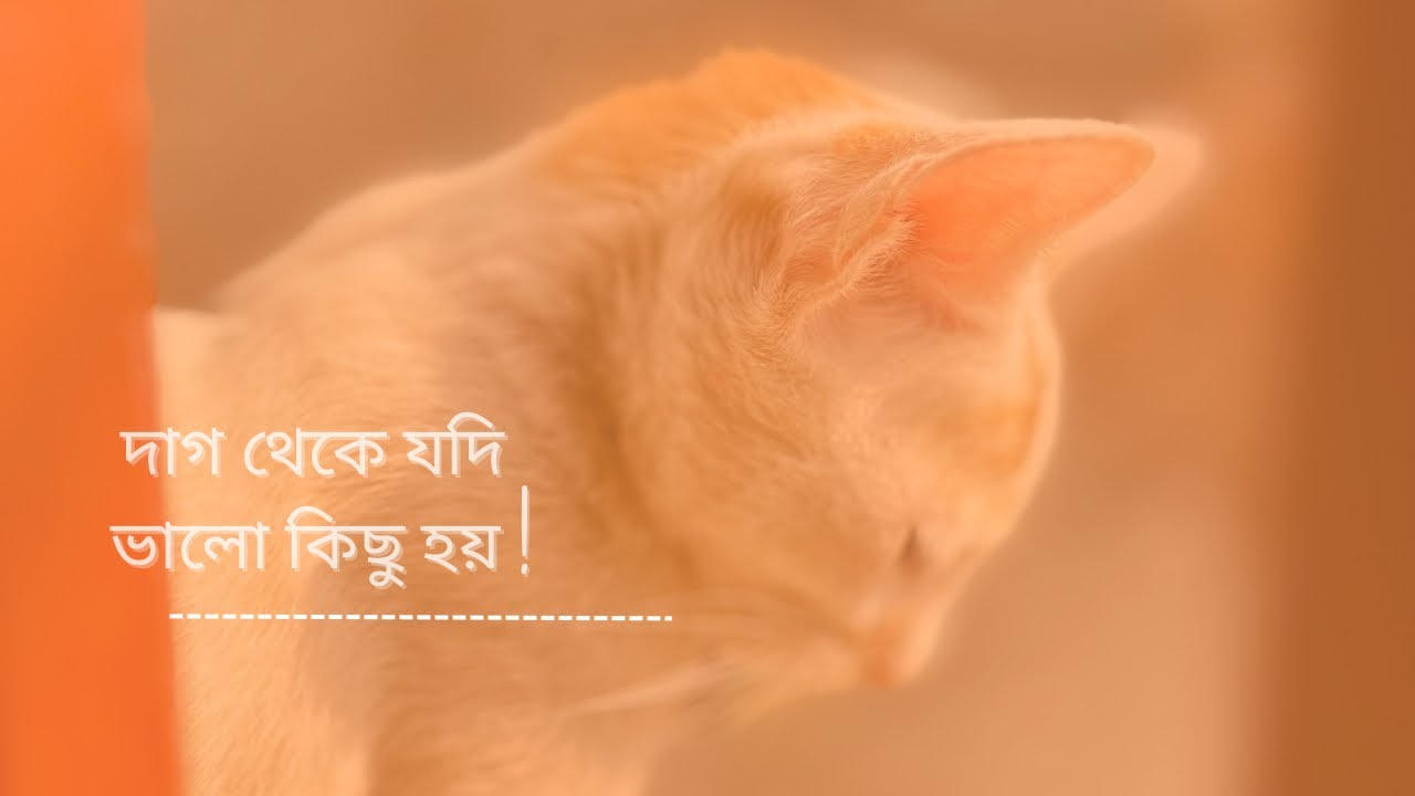 দায়িত্বের ছাপ, অন্য চোখে..