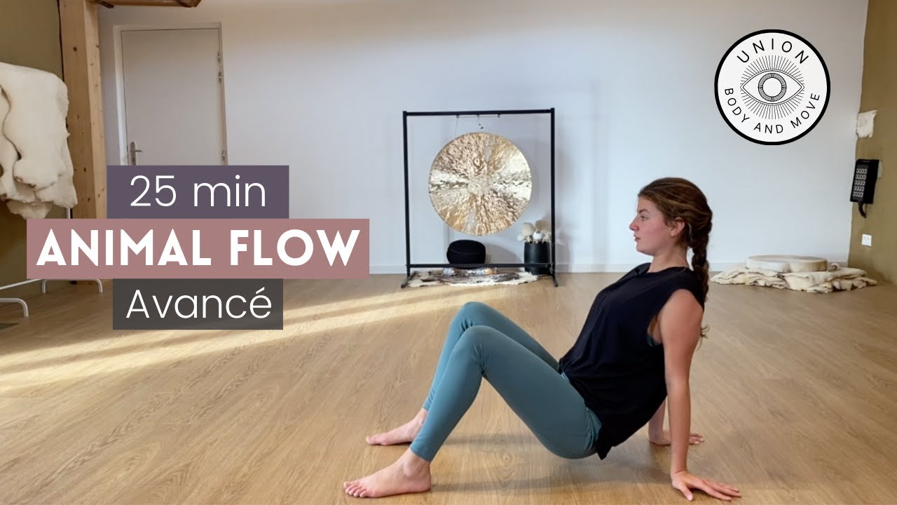 Union Body & Move/ Séance 9 : Animal Flow avancé