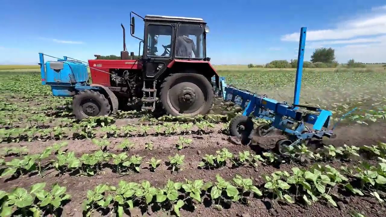 Працюємо на гарний урожай❗️🌻ФУНГІЦИД Аканто, бор,мікроелементи на🌻