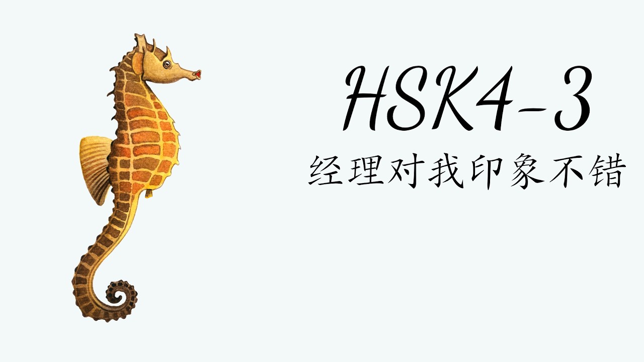 （2.0） HSK4-3: 经理对我印象不错/Giám đốc có ấn tượng tốt về tôi/ GT tiêu chuẩn HSK4