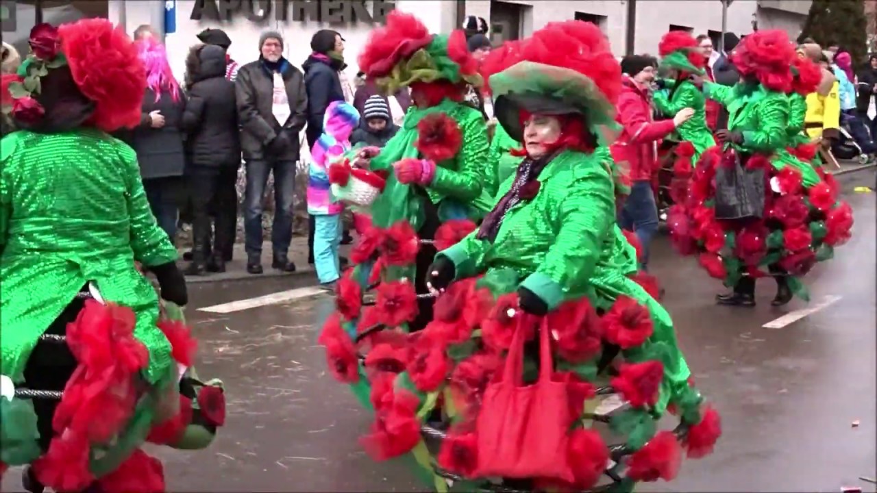 Faschingsumzug Dischingen 2018