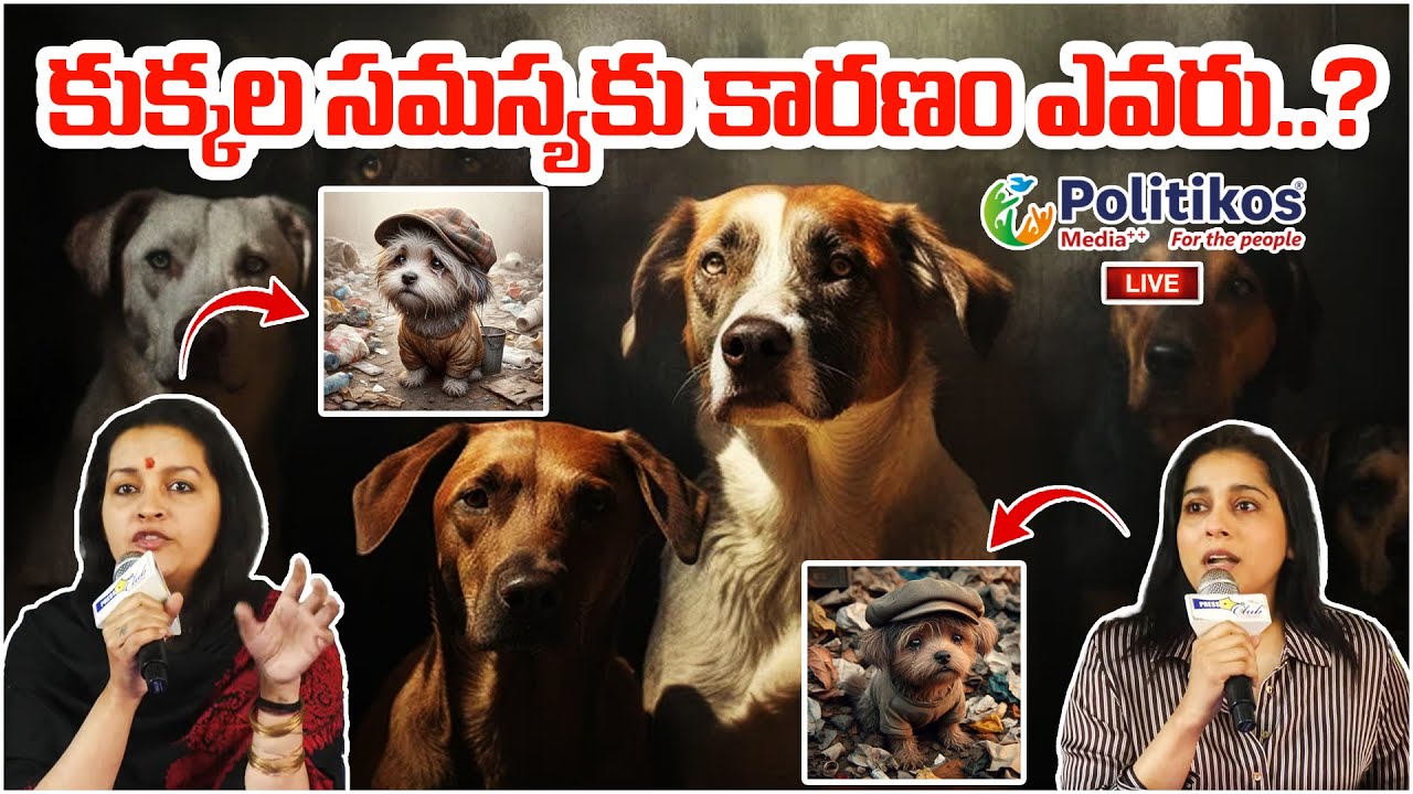 Live : కుక్కల సమస్యకు కారణం ఎవరు..? | Renu Desai & Rashmi Sensational Press Meet 
