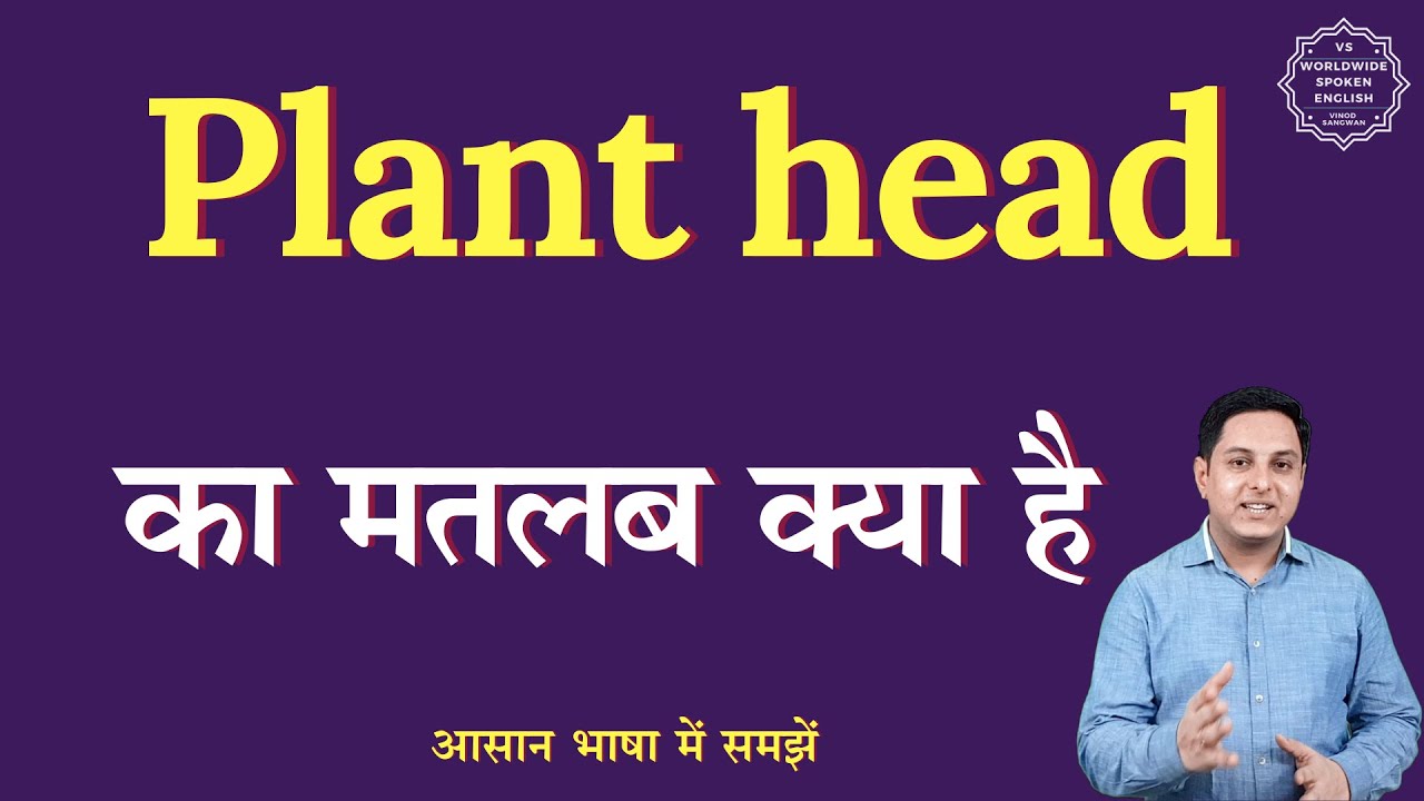 Plant head meaning in Hindi | Plant head ka matlab kya hota hai | English to hindi