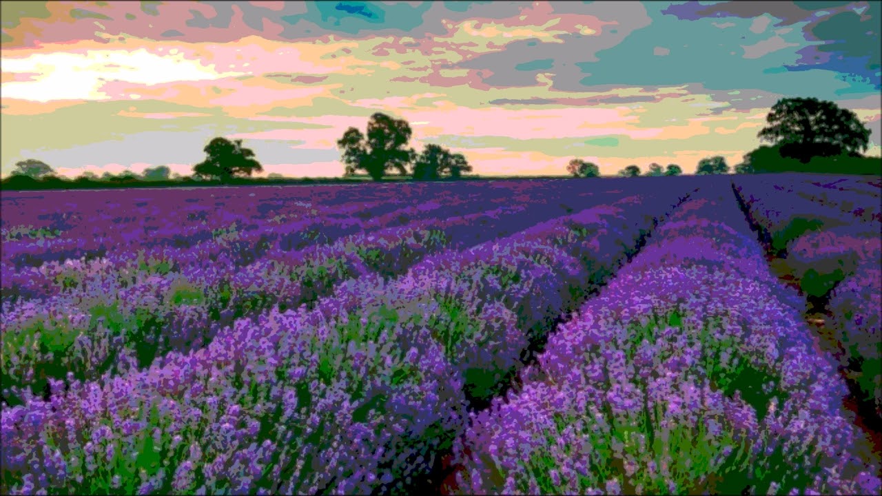 Lavender garden in the evening (Original piano solo music)