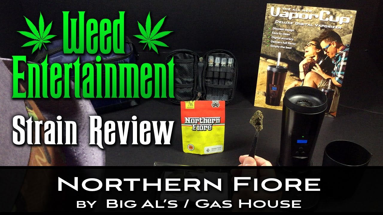 Northern Fiore - Hybrid - by Big Al's / Gas House - Strain Review - from Dr Greenthumbs, Sylmar Ca
