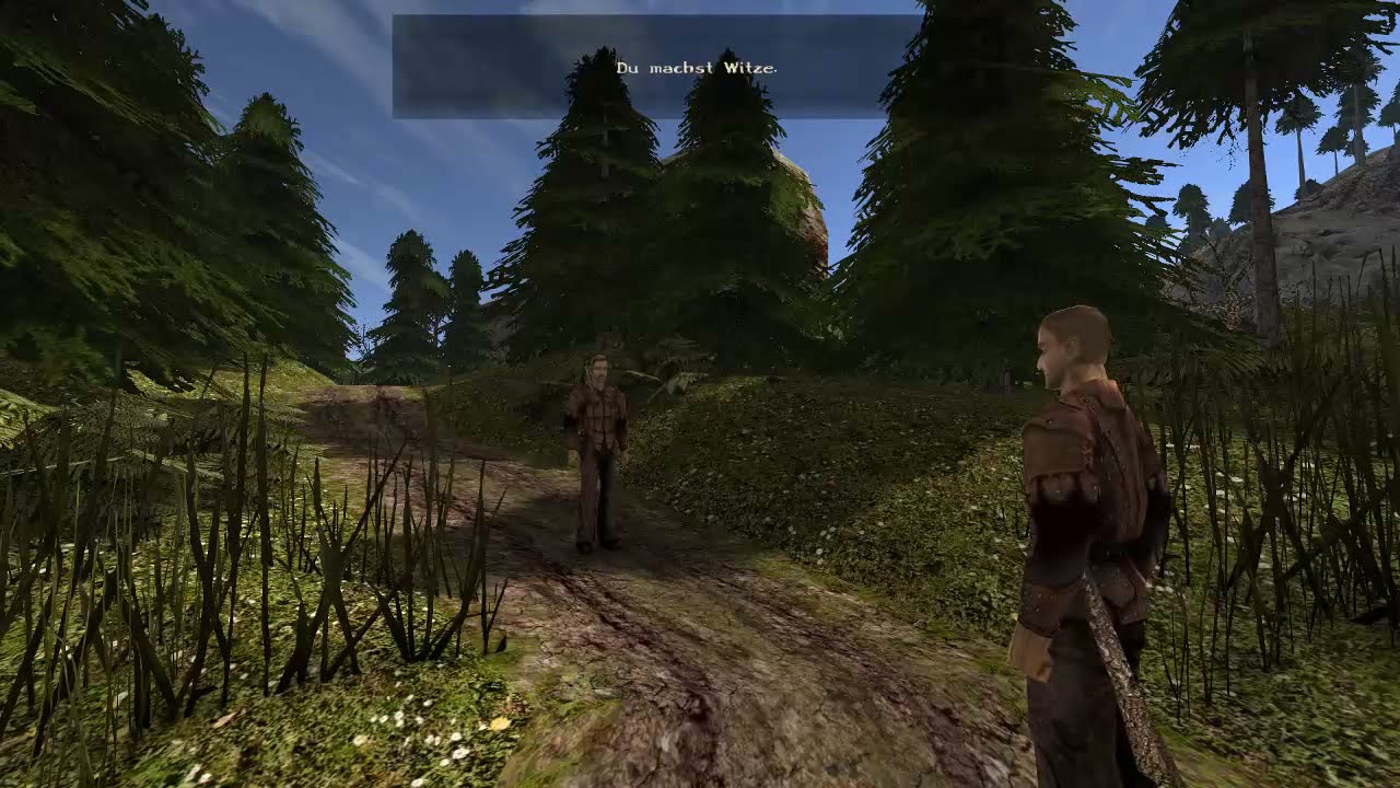 Gothic 2: lispelnder Wegelagerer