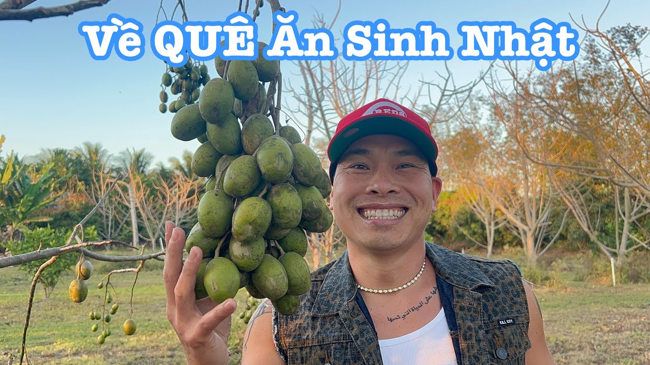 Đi Về QUÊ Ăn Sinh Nhật Tony | Celebrating Tony's Birthday | LuuLinh TV