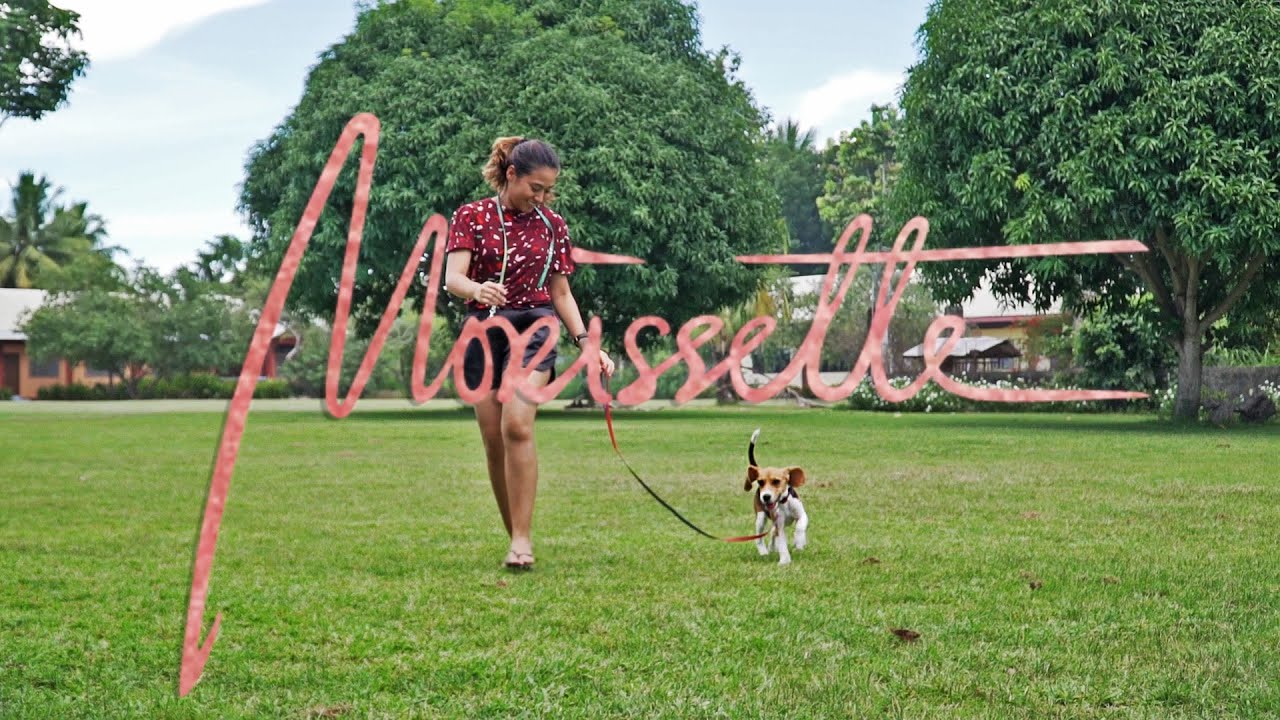 Probinsyana life! part1 (featuring our BEAGLoves, Luna & Rocky) ♡, 𝙼𝚘𝚛𝚒𝚜𝚜𝚎𝚝𝚝𝚎