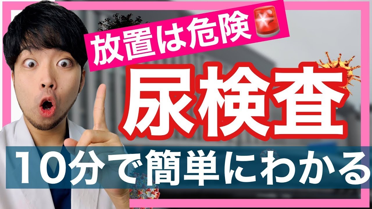 【保存版】尿検査が簡単にわかる！尿たんぱく・尿潜血は放置危険？【総合診療医・Drマンデリン】