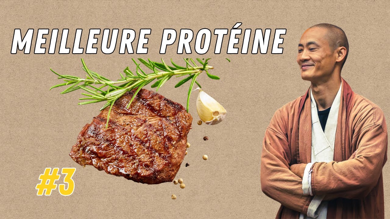 La vérité sur les protéines et ta santé !  | Shi Heng Yi