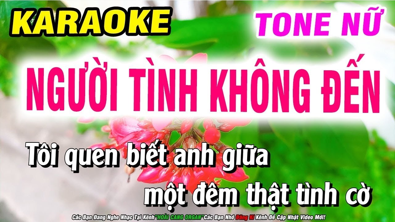 Karaoke Người Tình Không Đến Tone Nữ Nhạc Sống