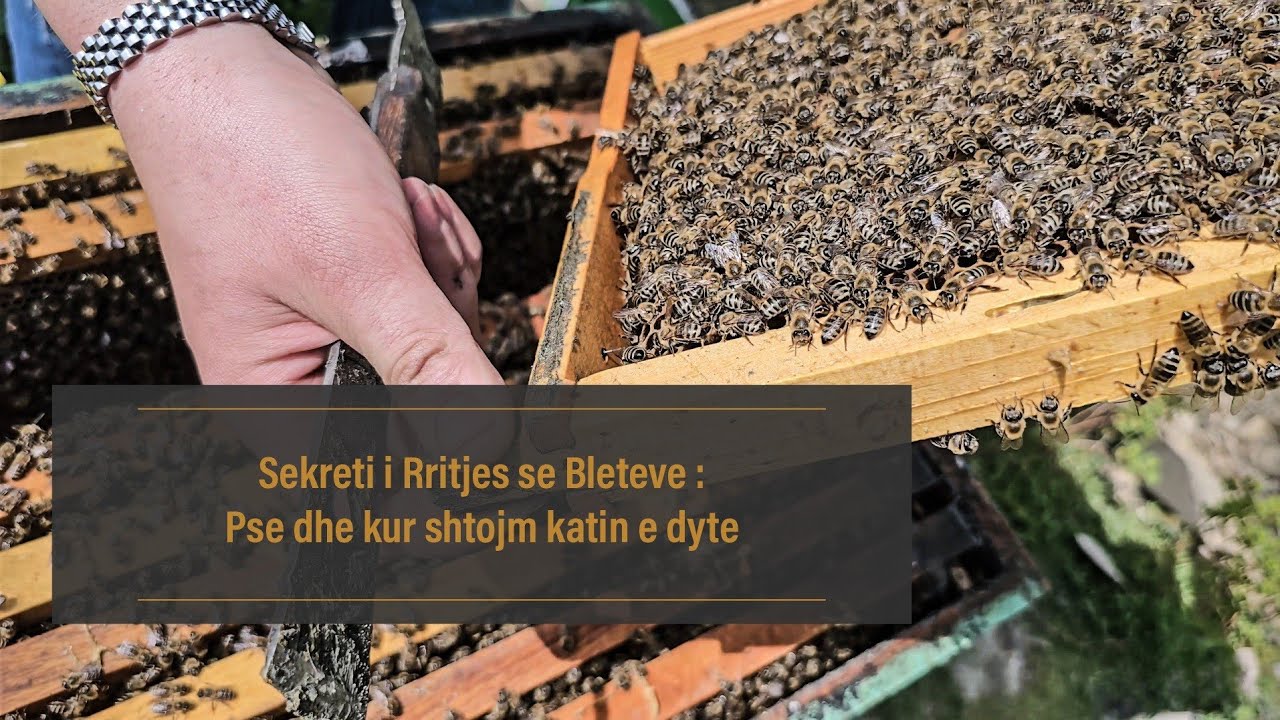 Sekreti i Rritjes se Bleteve : Pse dhe kur shtojm katin e dyte !
