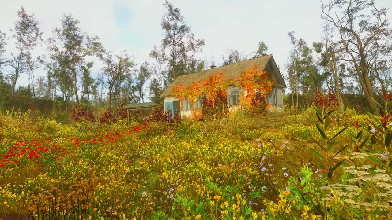 The Garden in My Heart