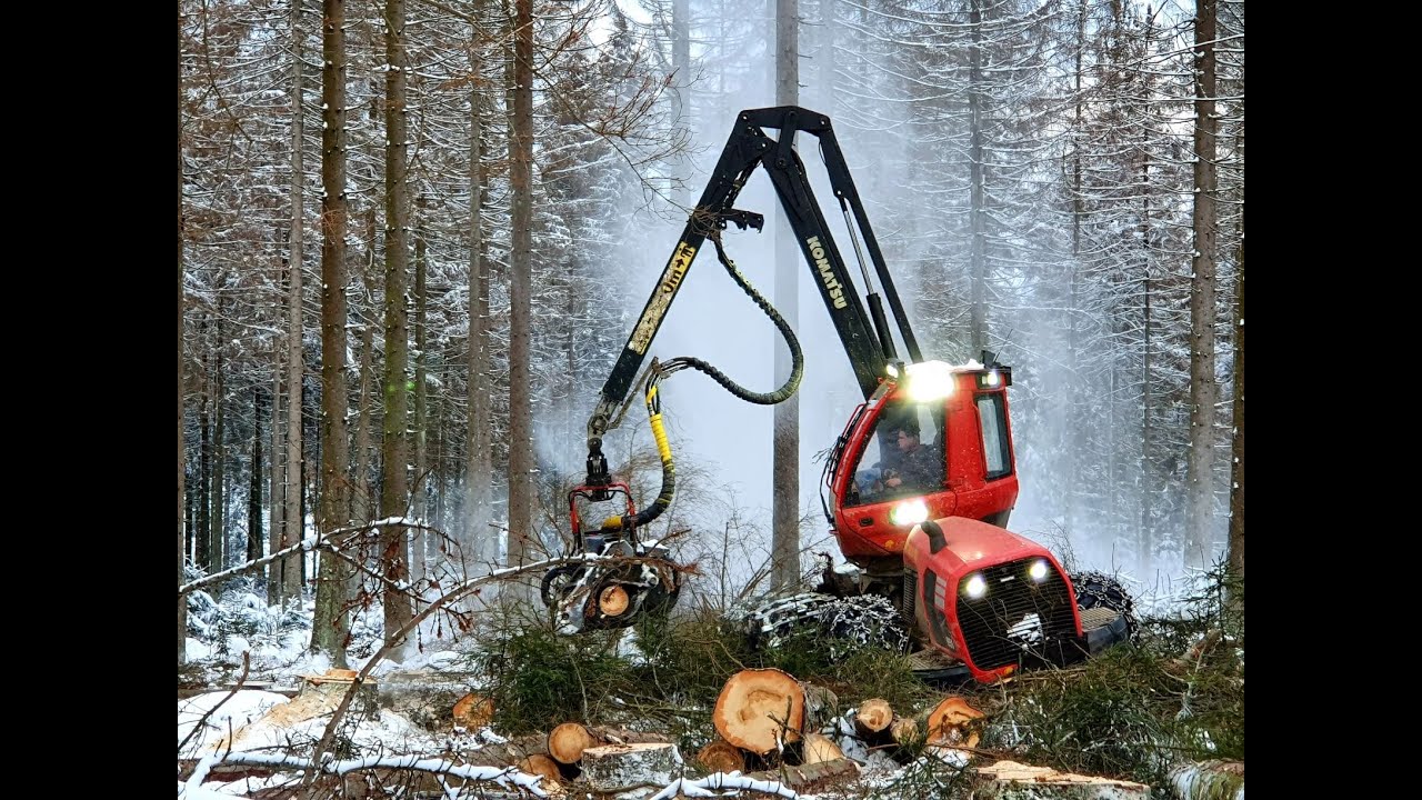 🌲Komatsu 951 • Stark-Holz • Harvester • Part-1 • Kampf um den Käfer🌲