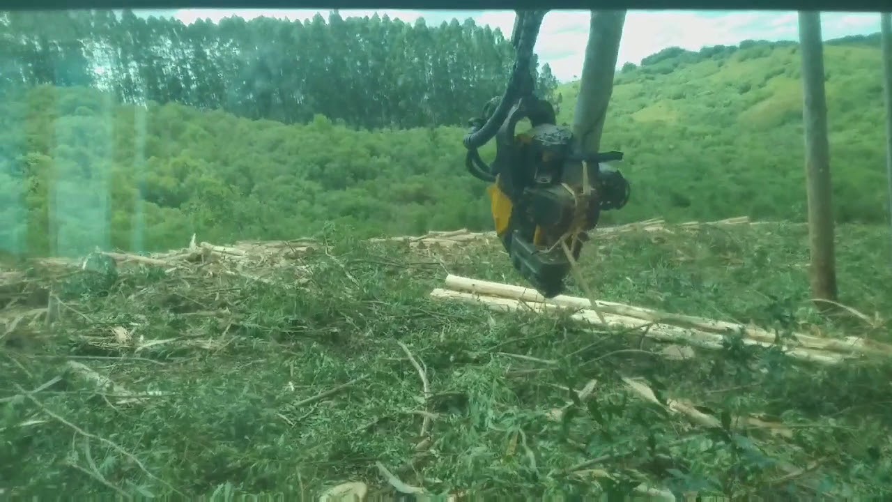 Colheita florestal harvester- CAT cabeçote ponsse  h8