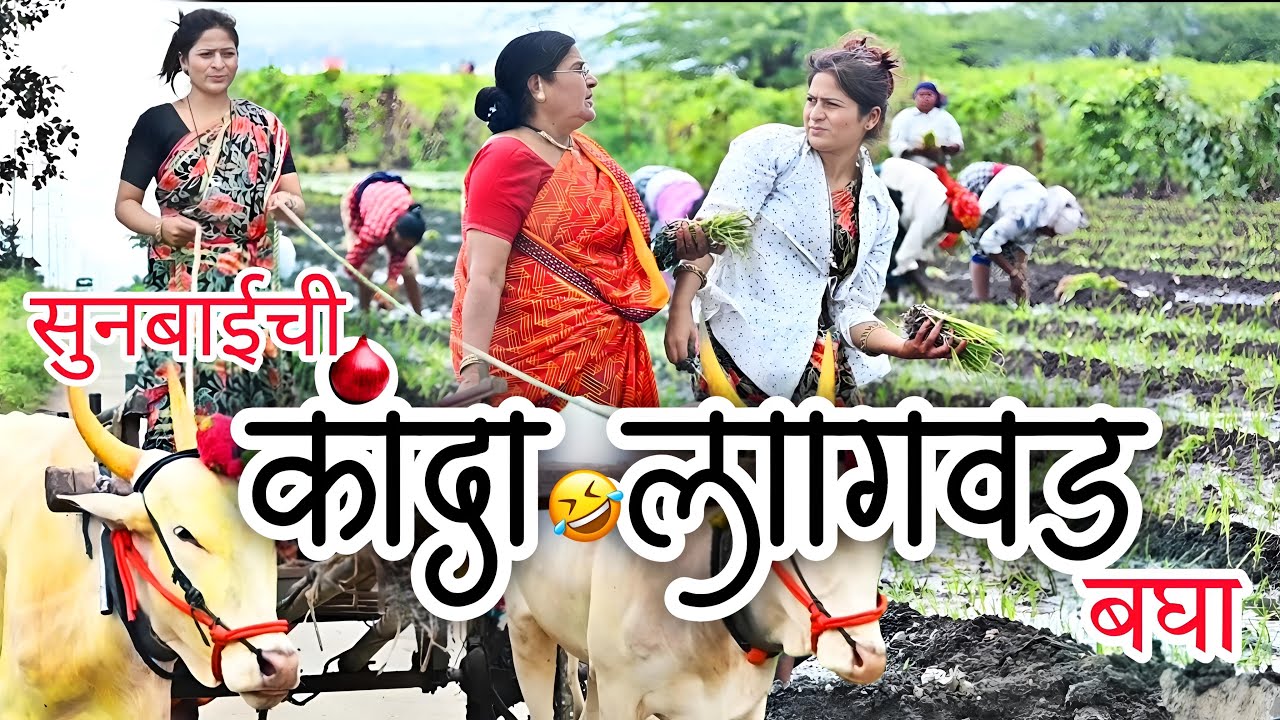 सून गेली पहिल्यांदा कांदे लावायला | काय काय मज्जा आली बघा | 🤣 @NagariComedy