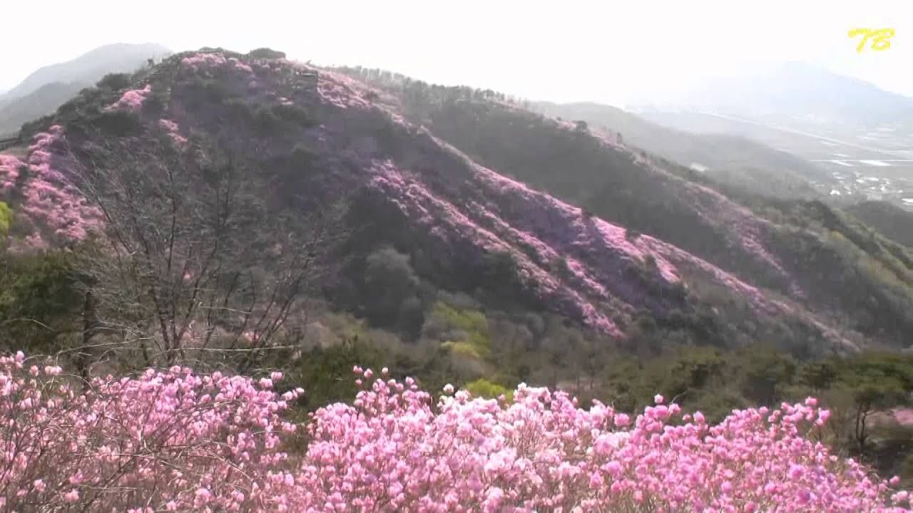 산너머 남촌에는경음악