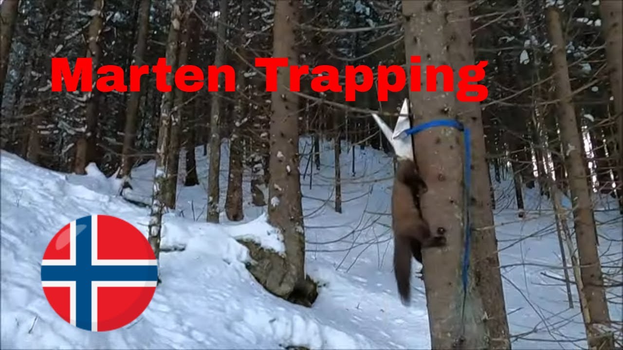 Flashback Check-in: Jan 6, 2024 Mink & Mår Gathering