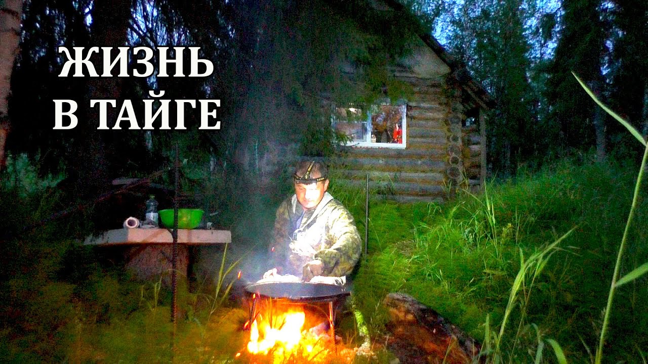 ТАЁЖНАЯ ИЗБА СЕВЕРЯН - НОЧНОЙ ПОХОД В ЛЕСНУЮ ГЛУШЬ \ ЕДА С ДЫМКОМ НА КОСТРЕ