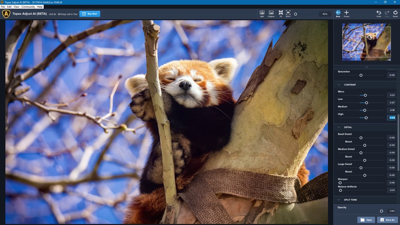 Topaz Adjust AI (Runthrough)