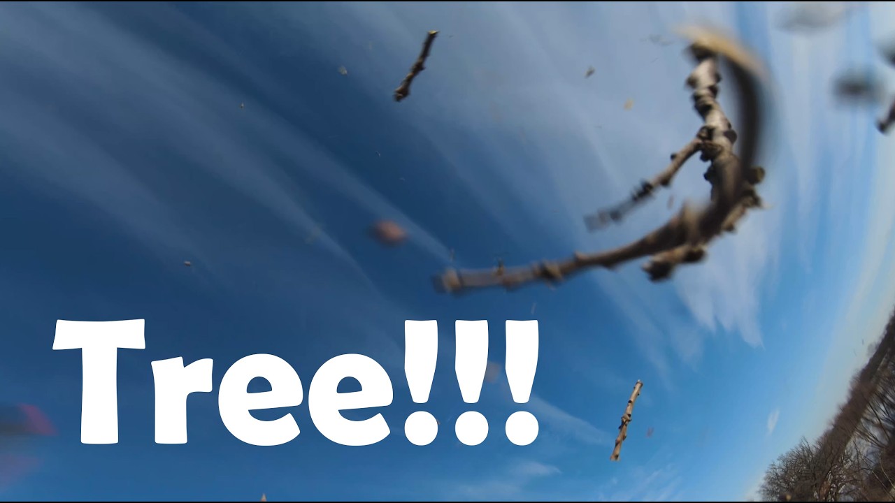 Trimming tree at 87 mph