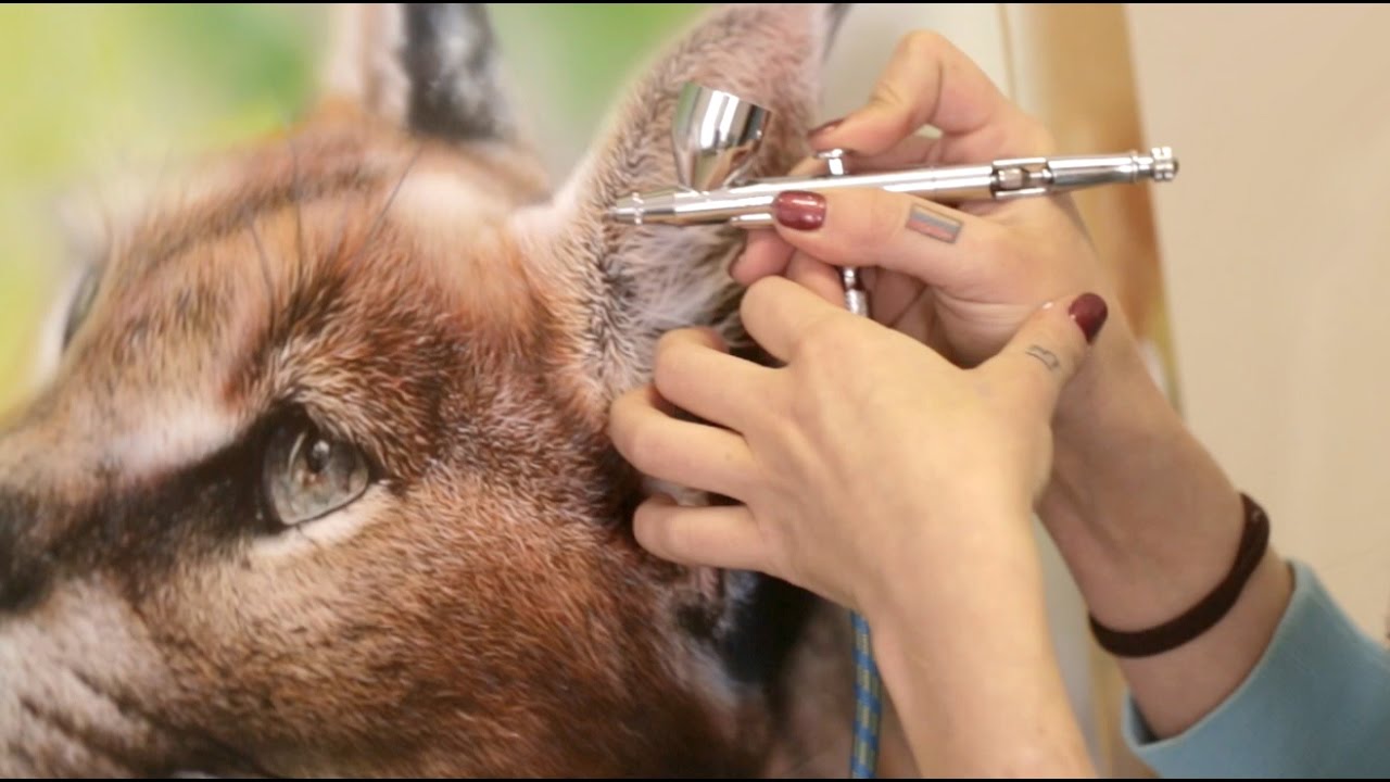 Preview with comments of Airbrushing Workshop on 