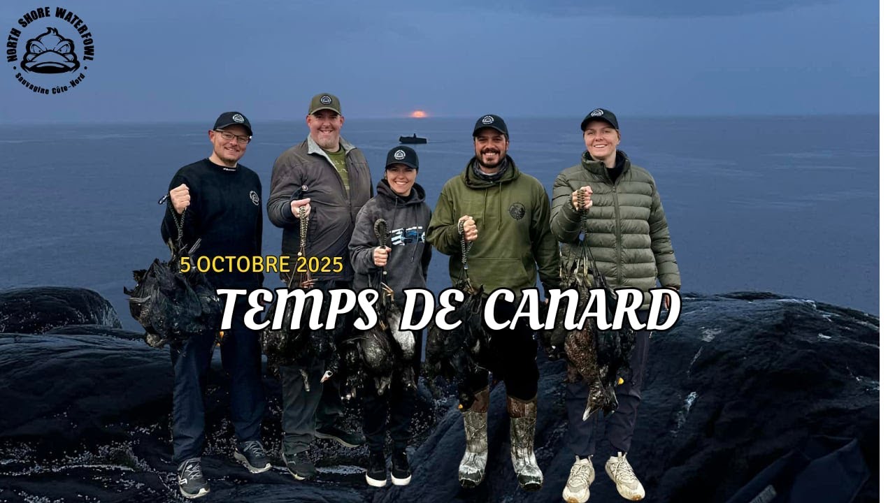 Temps de canards