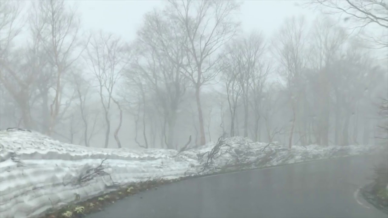 Roger & Brian Eno – Wintergreen (Official Music Video)