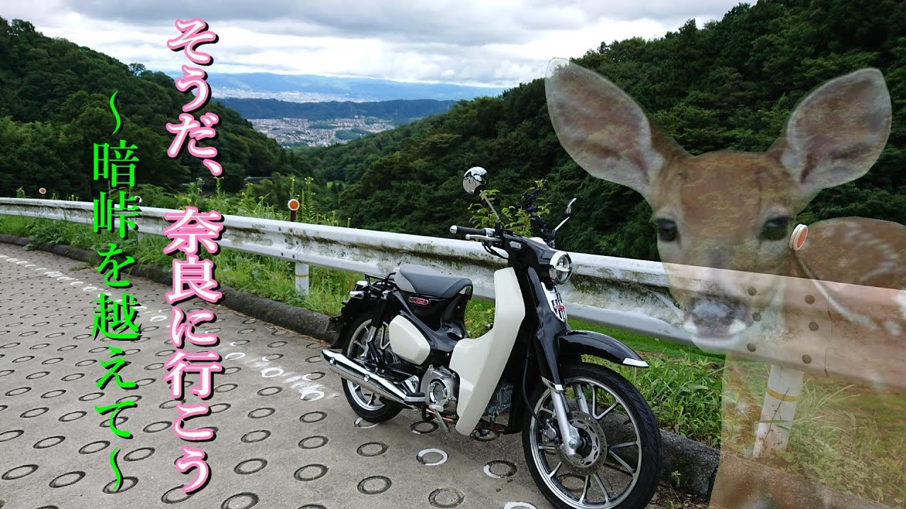 【モトブログ】そうだ、奈良に行こう ～暗峠を越えて～ の巻【スーパーカブC125】