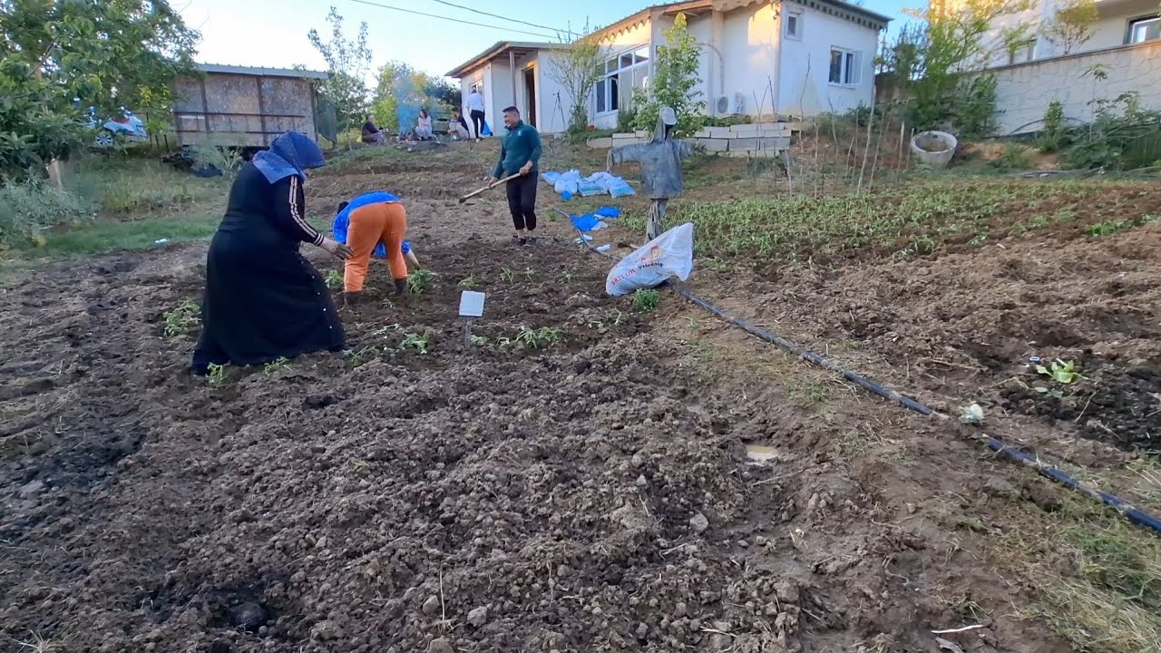 ÇİLEMİ ĞÖRDÜDE ANNEMMİ GELDİ 😞SALÇALIK DOLMA SİVRİ KIL BİBER PEMBE ÇANAKKALE SALKIM DOMATES DİKTİK