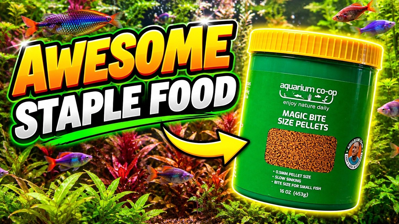 Отличный основной корм! Обзор гранул Aquarium Co-Op Bite Size