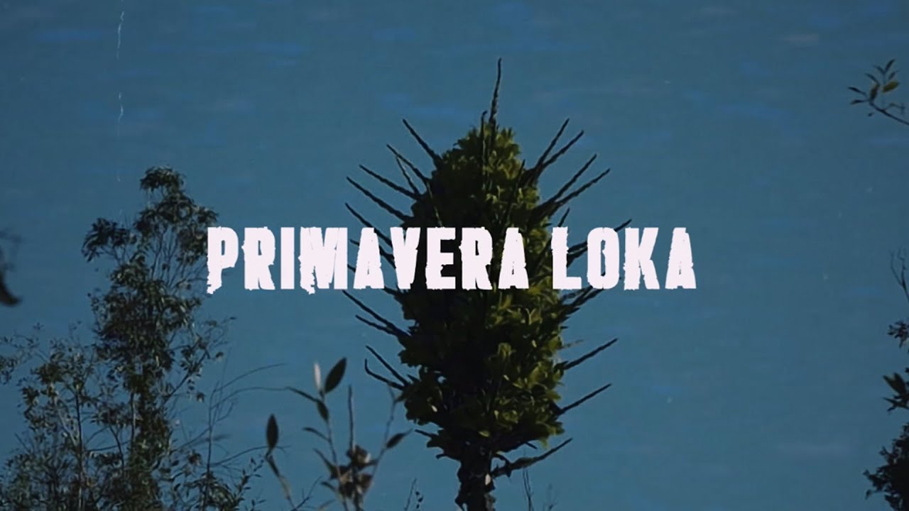 La Lira Libertaria con Matahembra - Primavera Loka | VIDEO