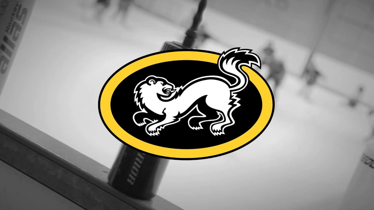 Oulun kärpät 46 Ry:n Kiekkokoulu