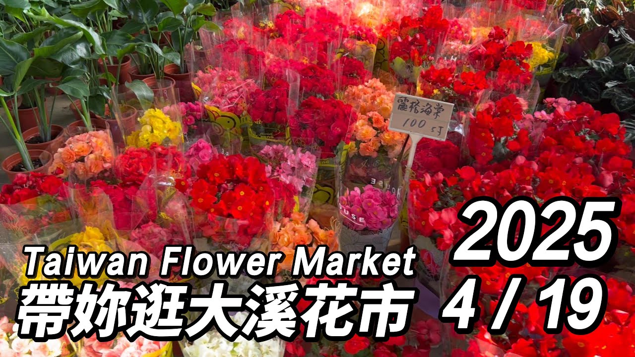 帶妳逛桃園大溪花市丨2025/4/19丨Taiwan Flower Market丨
