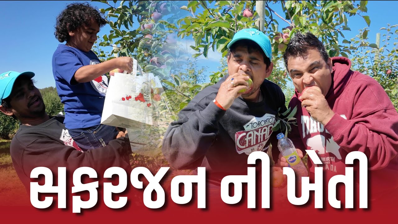 સફરજન ની ખેતી | Khajur Bhai | Jigli and Khajur | Apple Farm | Canada 🇨🇦 2 | New Vlog | Khajur Vlogs