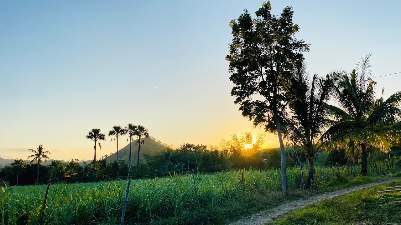 Simply Pinay  is live Hello back to province