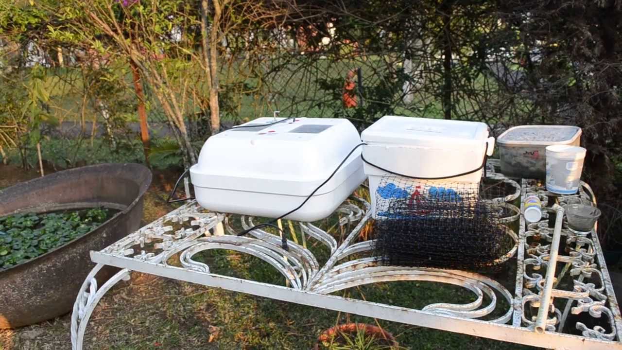 incubadora fabricada vs  incubadora casera