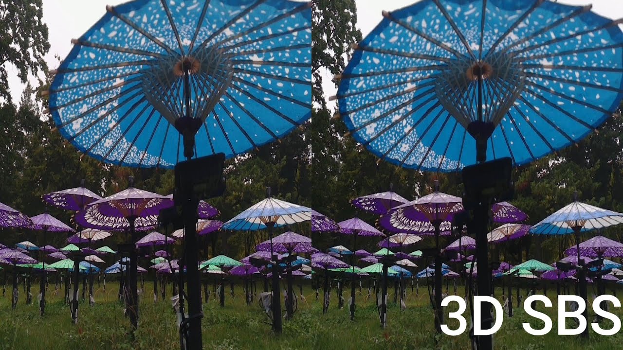 Rainy Days 07 | 3D SBS VR | QooCam EGO 視力回復・立体視