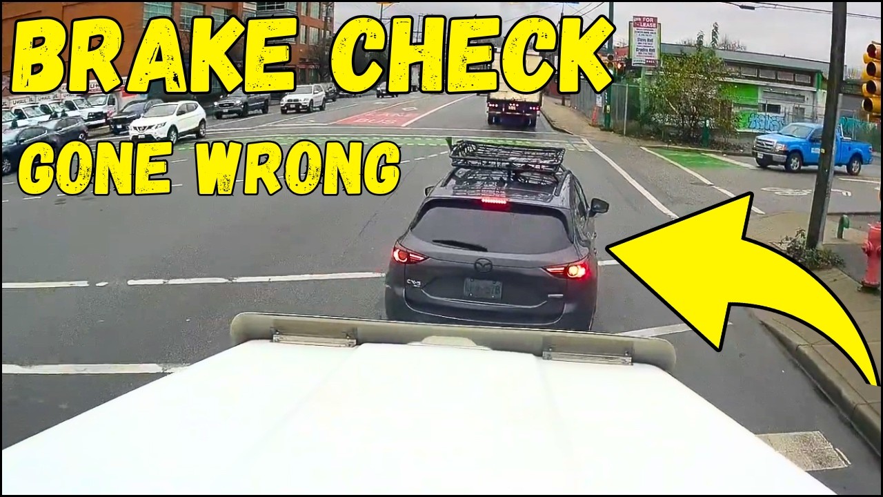 Best of Brake Check Gone Wrong, Liars & Instant Karma Moment  Road Rage, Insurance Scam