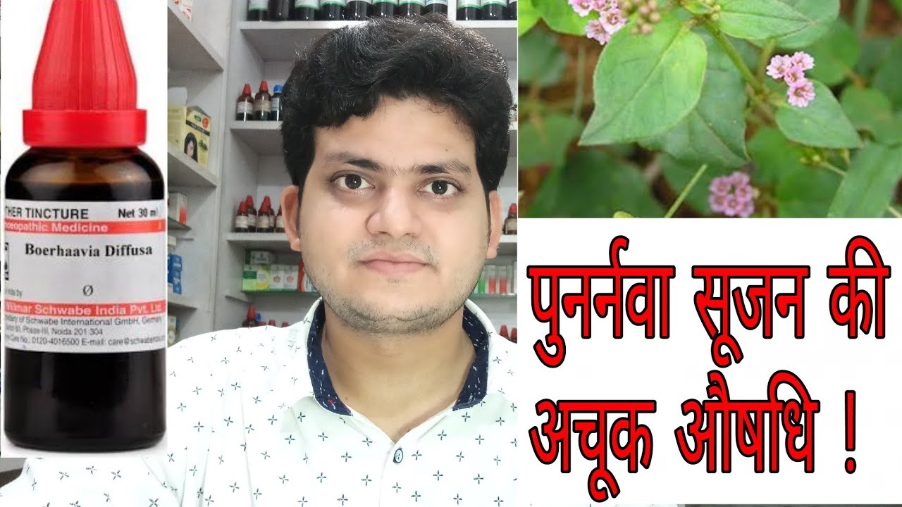 Punarnava ! Homeopathic medicine Boerhaavia Diffusa ? Sign and symptoms ! Disease and doses !