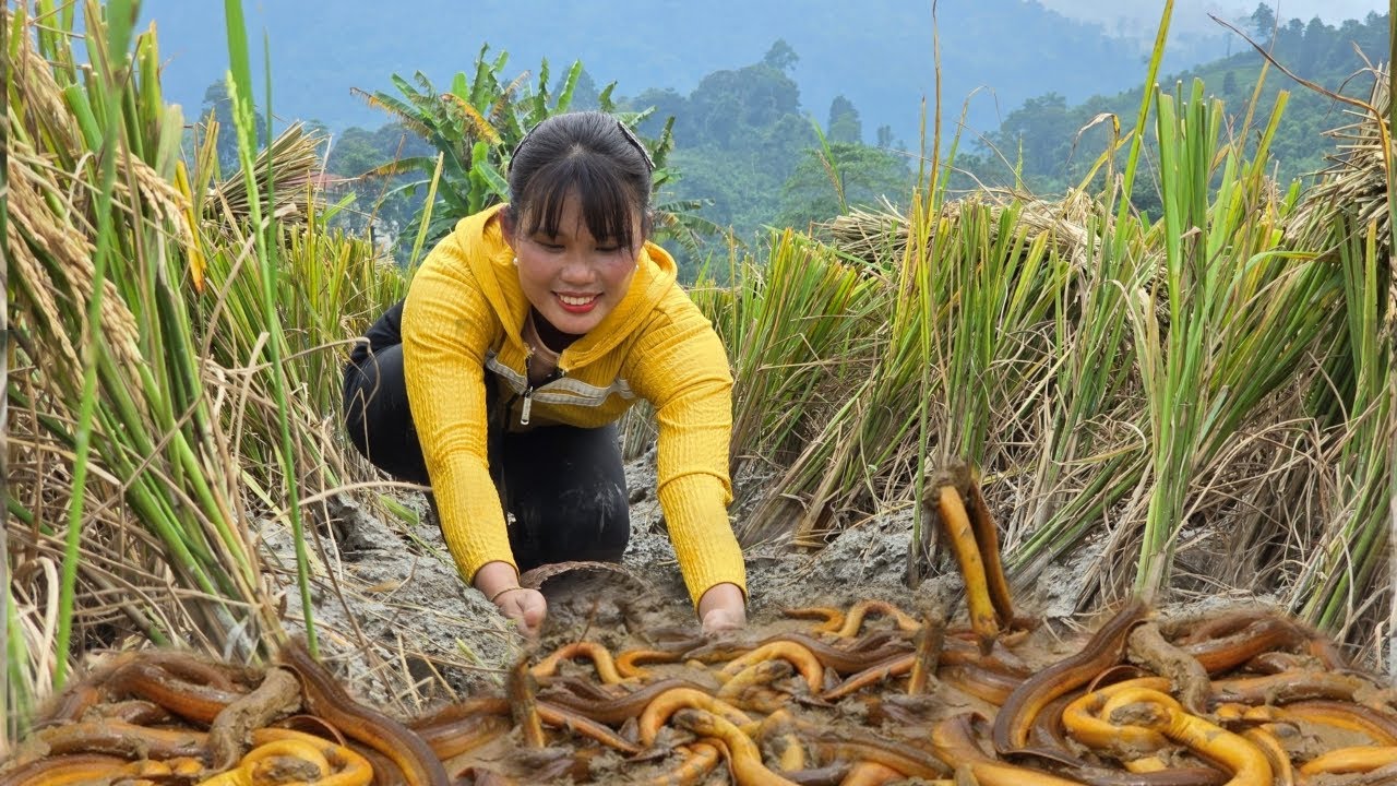 A single mother caught 100 giant eels hiding under a long abandoned field