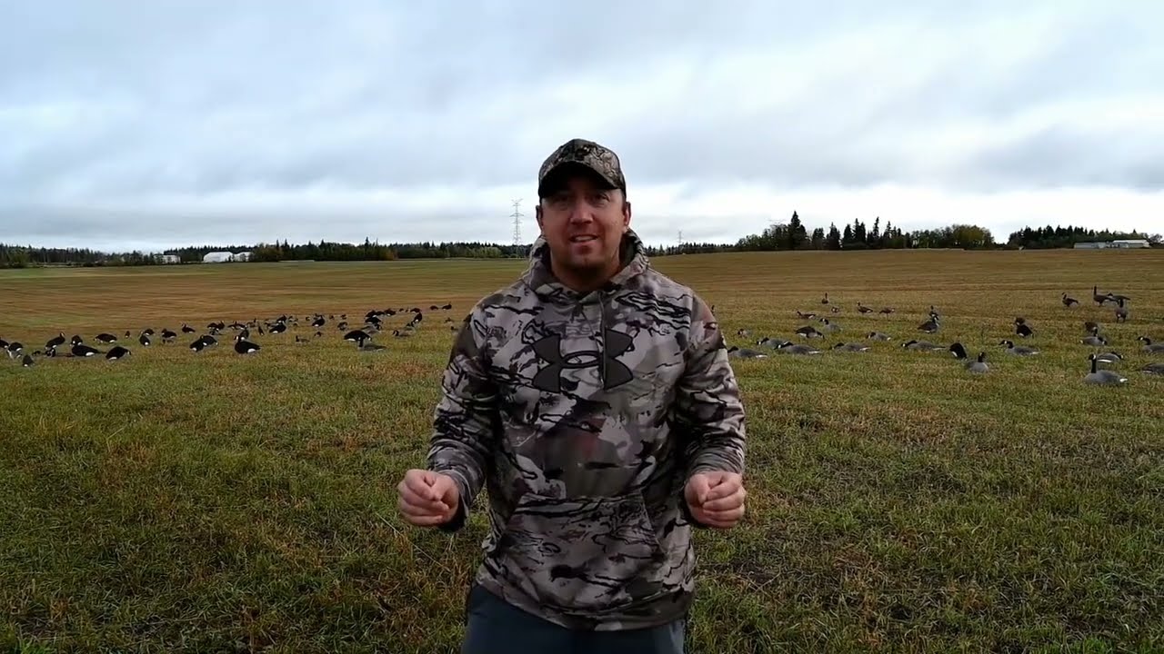 Goose Hunting in Alberta 2024 - Miniseries - Episode 2
