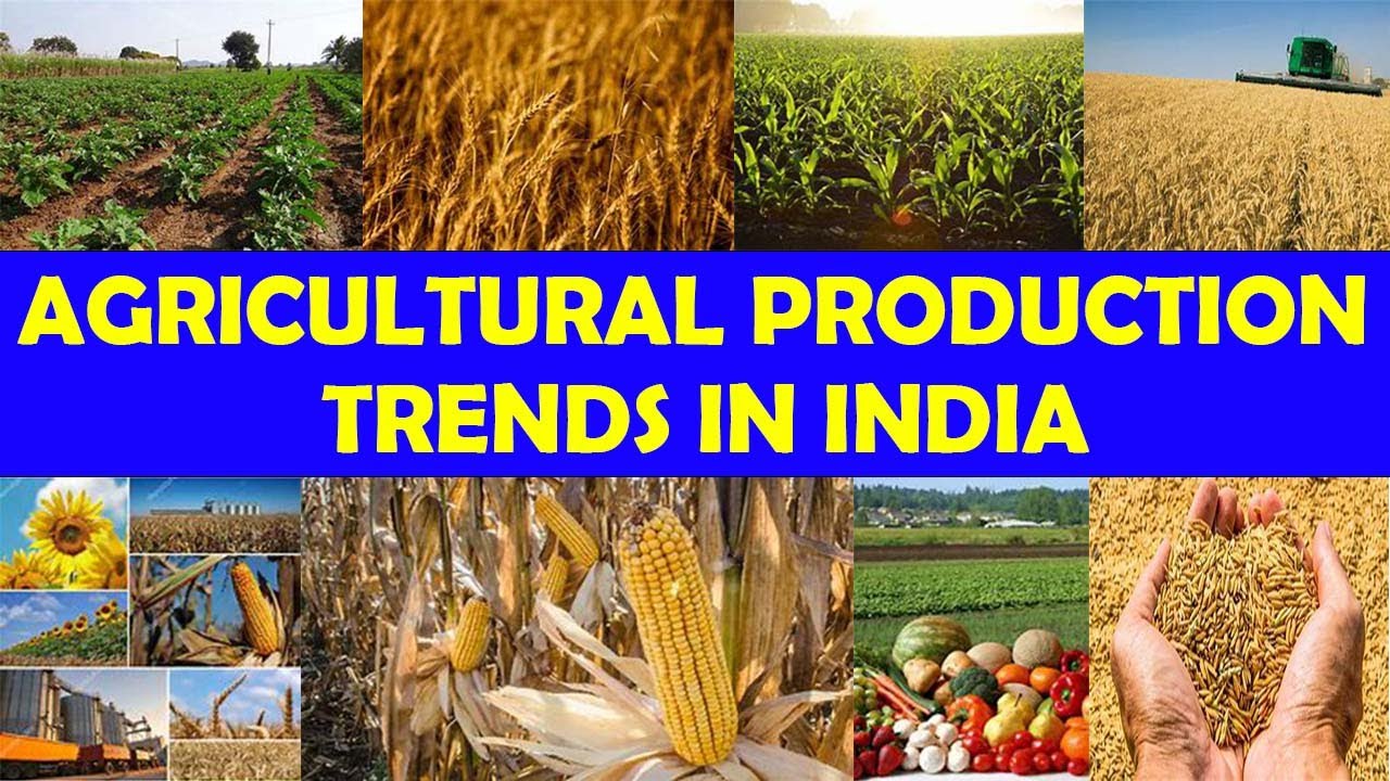 Agricultural Production Trends in India | The Economy