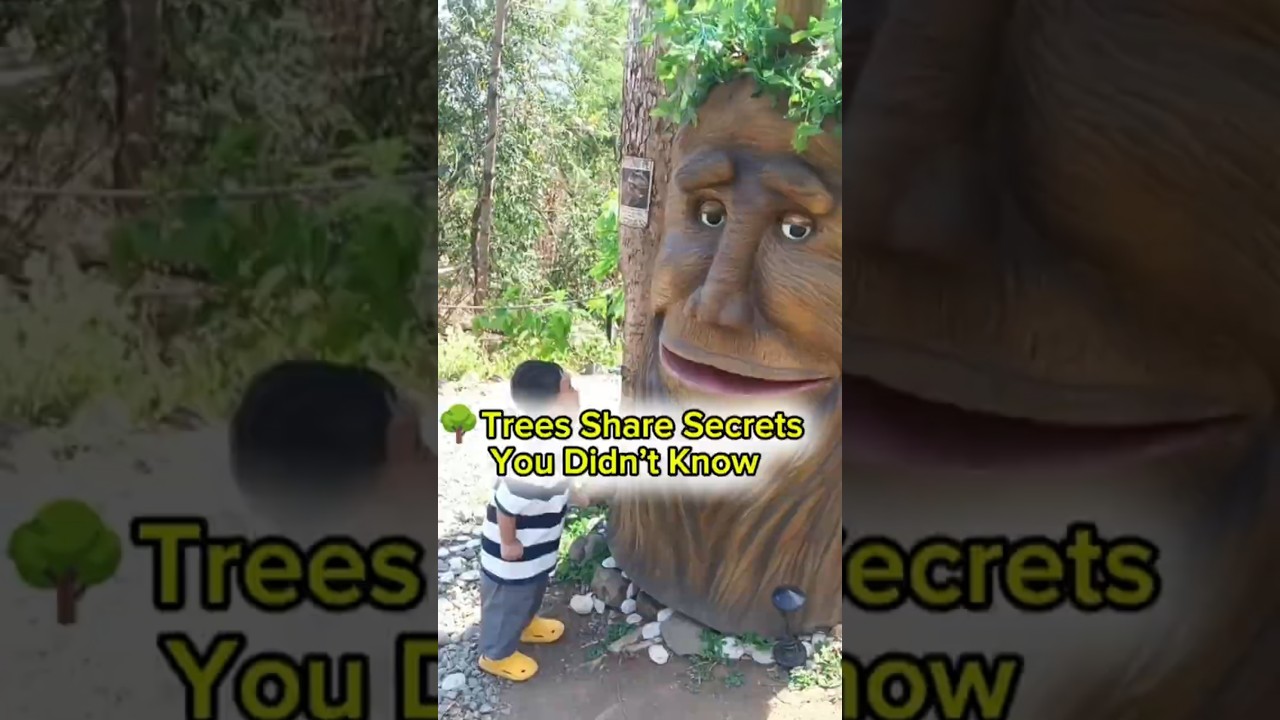 The Secret Language of Forests