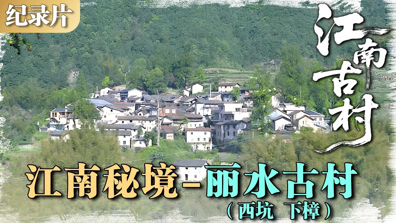 江南古村 | 江南秘境 01：丽水古村（西坑、下樟）——云海梯田间的隐世仙境 #江南古村 #村落