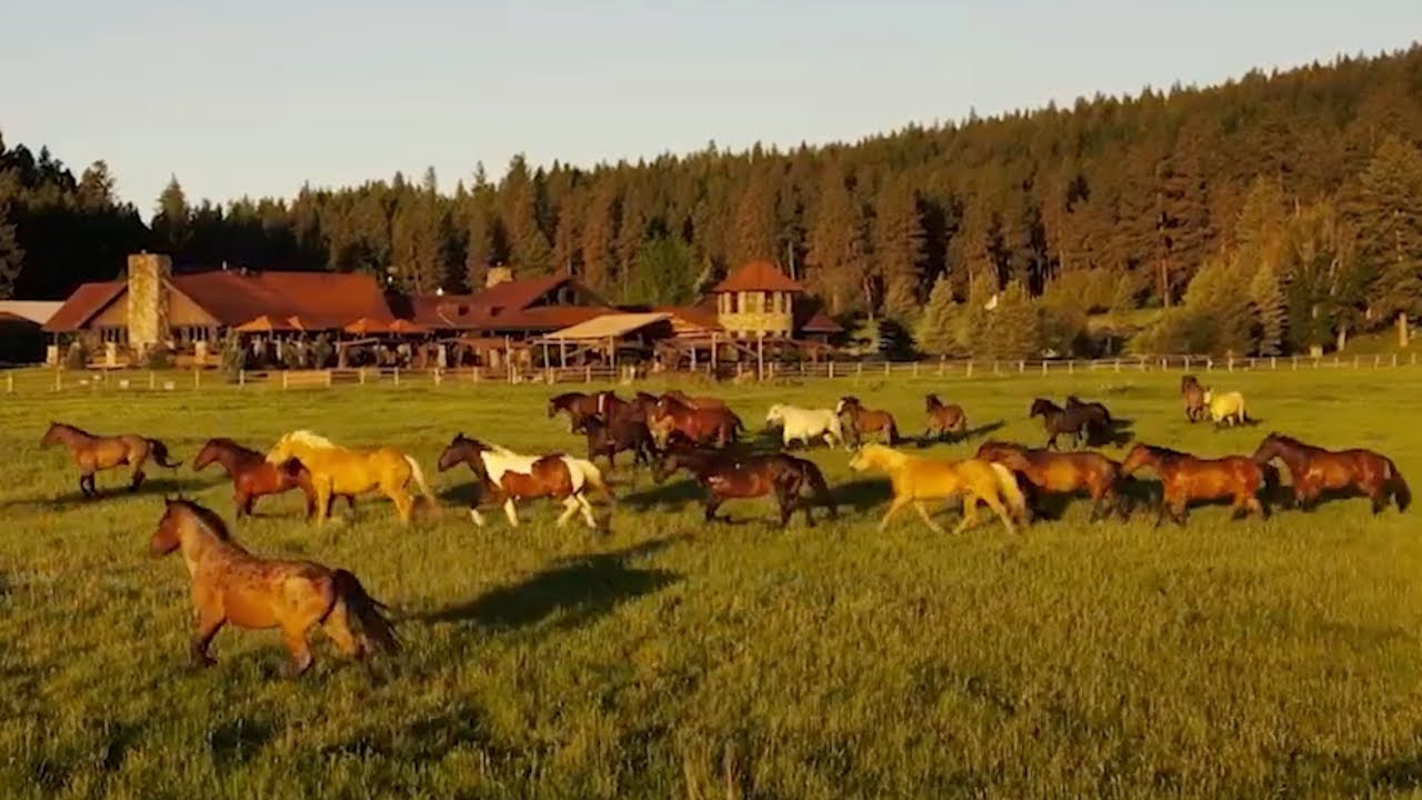 Paws Up Montana &ndash; Overview
