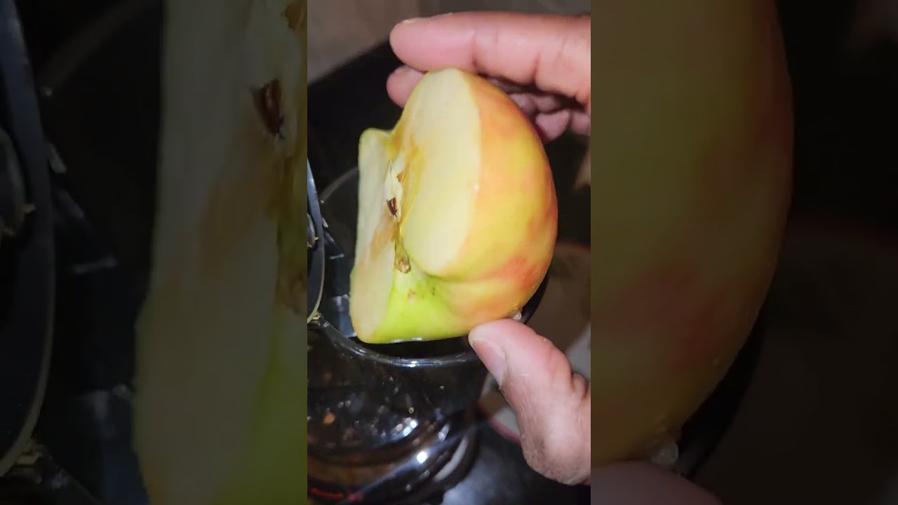Temu finds that are worth every dollar I paid for it  #biolomix slow juicer unboxing #temu #temuhaul